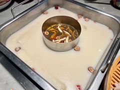 胡椒猪肚鸡大锅-尚尚仙·酸汤猪手·猪肚鸡火锅(华联万柳购物中心店)