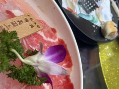 -中苑海韵