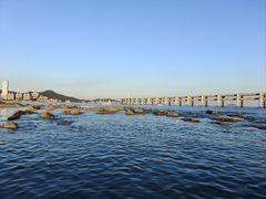-黑石礁公园