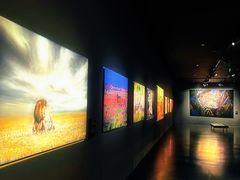 -罗红摄影艺术馆