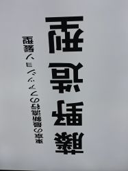 点击看大图 -藤野造型专业烫染接发