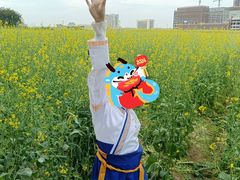 -光明小镇欢乐田园