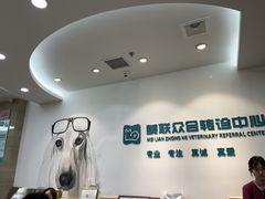 -美联众合动物医院·24h转诊中心