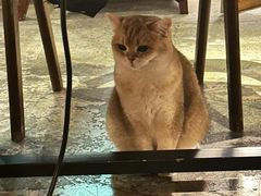 -咖法森林·咖啡  酒吧(天河店)