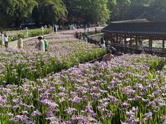 -龙头寺公园