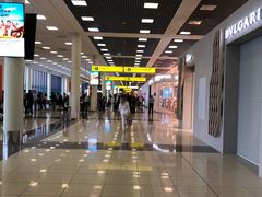 -谢列梅捷沃国际机场