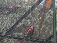 -石排湾郊野公园