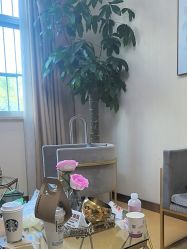 -上海华美医疗美容医院
