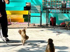 -沂蒙云瀑洞天景区