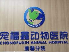 -宠福鑫康馨动物医院·骨科·眼科