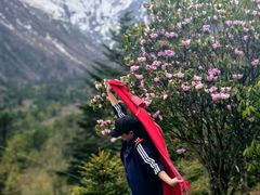 -海螺沟风景区