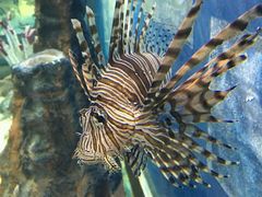 -福州罗源湾海洋世界旅游区