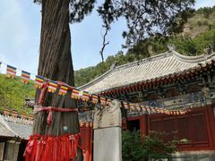 -北京上方山国家森林公园