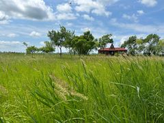 -黑龙江扎龙生态旅游区