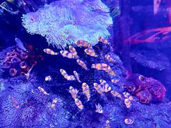 -沈阳海洋探索中心