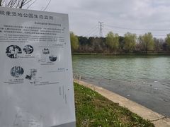 -同里国家湿地公园