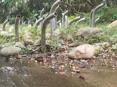 -燕晗山郊野公园