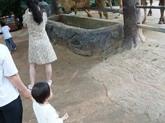 -海南热带野生动植物园