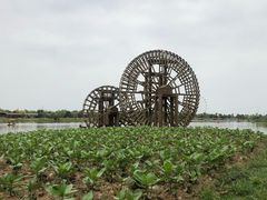 -金卉庄园