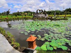 -Bebek Joni Restaurant