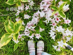 -济南植物园