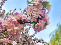 -元大都城垣遗址公园