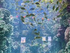 -海合安青岛极地海洋公园
