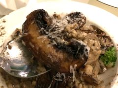 -Oasis Bar & Grill