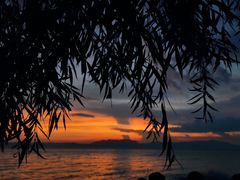 -捞渔河湿地公园