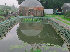 -美家乐农庄·露营·团建(大治路店)