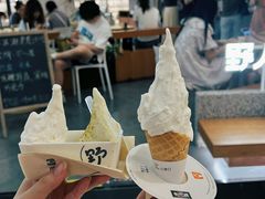 -野人先生Gelato(上海长宁龙之梦店)