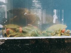 波斯龙-聚鑫阁江浙菜·非遗传承技艺(青村帝华园店)