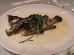 葱淋桂鱼-海逸海鲜酒家(古北店)