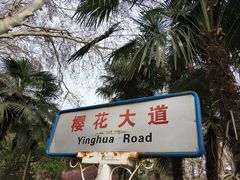 -武汉大学-樱园