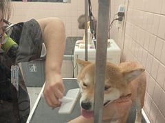 -FAELING PETS美天灵宠物(富力广场店)