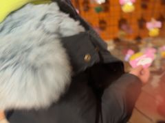 -汉斯南美烤肉(总店)