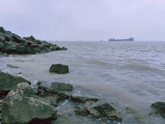 -上海滨江森林公园
