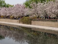 -海棠花溪(元大都城垣遗址公园)