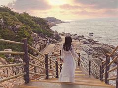-广东惠东海龟国家级自然保护区
