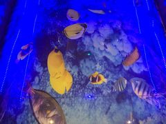 -月亮眼花园餐厅书吧酒吧