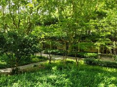 -徐家汇源景区-衡山公园