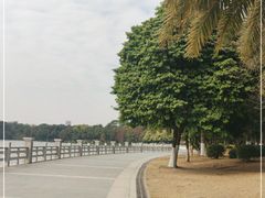 -海珠湖公园