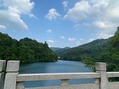 -江西阳明山国家森林公园