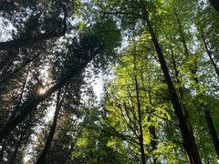 -华南国家植物园-售票处