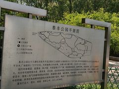 -泰丰公园