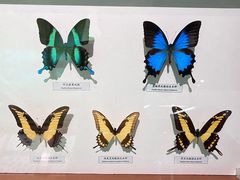 -昆明动物博物馆