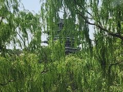 -鹊华居·地道鲁菜·海鲜·融合味(大明湖店)