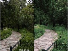 -香山公园