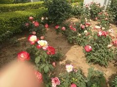 -石家庄市植物园