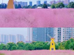 -洋湖国家湿地公园